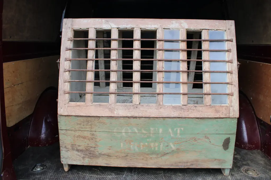 Caisse De Ward, Ancêtre Du Terrarium, Pièce De Musée XIXème